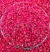 Adzuki Red, Beans, -- BoxGardenSeedsLLC -Beans / Dry Beans - Seeds