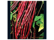 - BoxGardenSeedsLLC - Chinese Red Yard Long Beans, - Beans / Dry Beans - Seeds