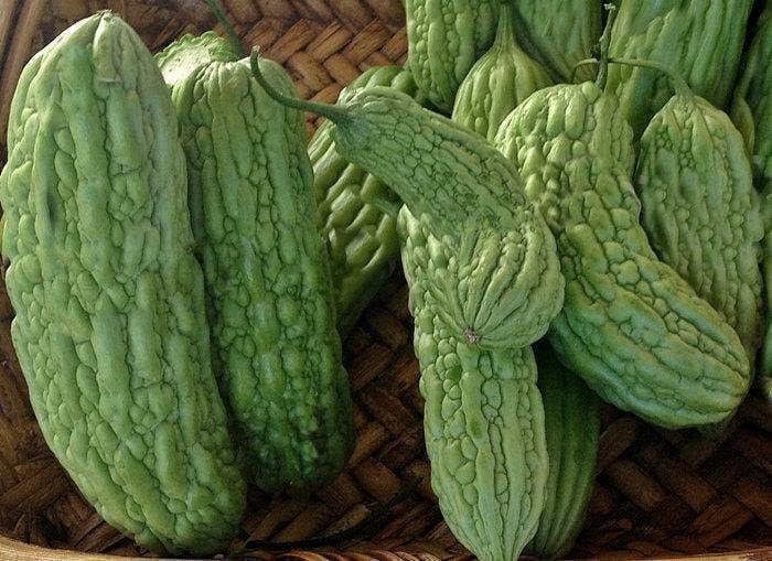 Green Skin Bitter Melon -- BoxGardenSeedsLLC -Squash,Pumpkins - Seeds