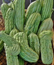 Green Skin, Bitter Melon - BoxGardenSeedsLLC - Squash,Pumpkins - Seeds - 