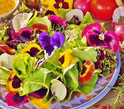 Edible Wildflower, Seed Mix - BoxGardenSeedsLLC - Gourmet/Native Greens - Seeds - USA Seller, Thank you for shopping here today, Naturally Grown GMO Free Seeds, Heirloom Open Pollinated Seeds, Fresh Top Quality Premium Seeds