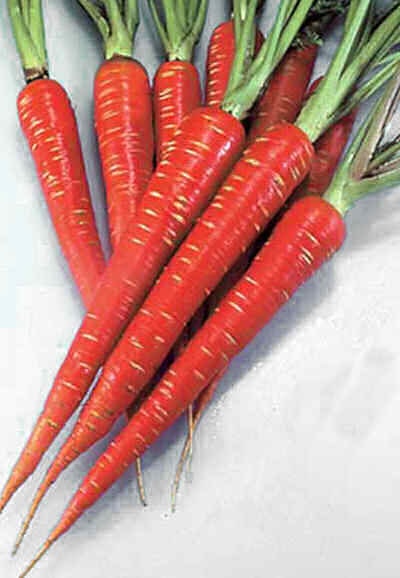 Atomic Red, Carrot, -- BoxGardenSeedsLLC -Carrots - Seeds