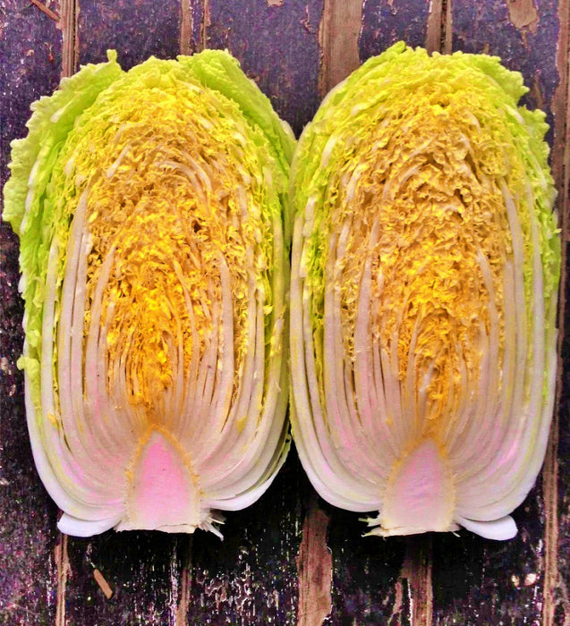 Matsushima, Japanese Napa Cabbage, -- BoxGardenSeedsLLC -Cabbage, Kale - Seeds