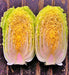 Matsushima, Japanese Napa Cabbage, -- BoxGardenSeedsLLC -Cabbage, Kale - Seeds