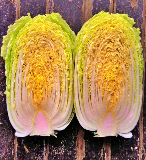 - BoxGardenSeedsLLC - Matsushima, Japanese Napa Cabbage, - Cabbage, Kale - Seeds
