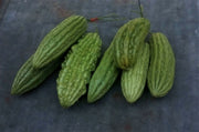 Green Skin, Bitter Melon - BoxGardenSeedsLLC - Squash,Pumpkins - Seeds - 