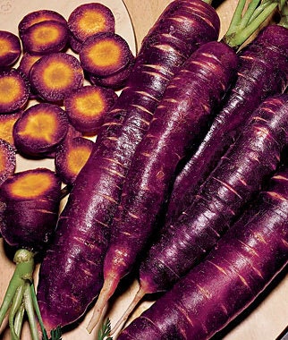 - BoxGardenSeedsLLC - Cosmic Purple, Carrot, - Carrots - Seeds