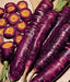 - BoxGardenSeedsLLC - Cosmic Purple, Carrot, - Carrots - Seeds