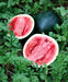 Sugar Baby, Watermelon, -- BoxGardenSeedsLLC -Melons, Cantaloupe - Seeds