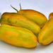 Green Sleeves, Tomato - BoxGardenSeedsLLC -Tomatoes,Tomatillos - Seeds
