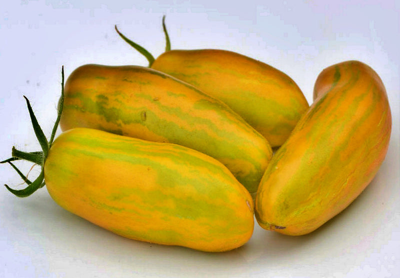 Green Sleeves, Tomato - BoxGardenSeedsLLC - Tomatoes,Tomatillos - Seeds - 