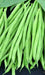 Tobago, Bush Bean, -- BoxGardenSeedsLLC -Beans / Dry Beans - Seeds