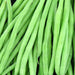 Tobago, Bush Bean, - BoxGardenSeedsLLC -Beans / Dry Beans - Seeds