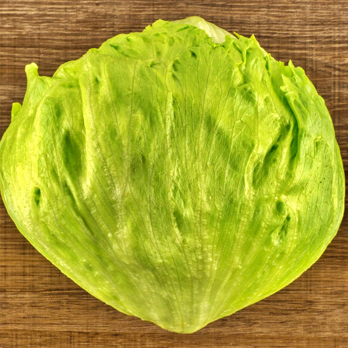 Great Lakes Mesa 659, Crisphead Lettuce, -- BoxGardenSeedsLLC -Lettuce - Seeds