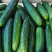 Marketmore 76, Cucumber, - BoxGardenSeedsLLC -Cucumbers - Seeds