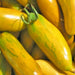 Green Sleeves, Tomato - BoxGardenSeedsLLC -Tomatoes,Tomatillos - Seeds