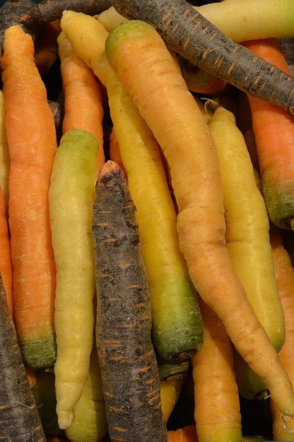 Rainbow Mix, Carrot, -- BoxGardenSeedsLLC -Carrots - Seeds