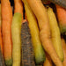 Rainbow Mix, Carrot - BoxGardenSeedsLLC -Carrots - Seeds