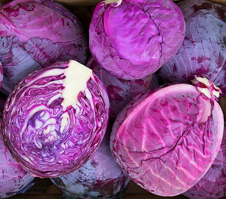 Cabbage, Red Express, -- BoxGardenSeedsLLC -Cabbage, Kale - Seeds