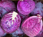 Cabbage, Red Express, -- BoxGardenSeedsLLC -Cabbage, Kale - Seeds