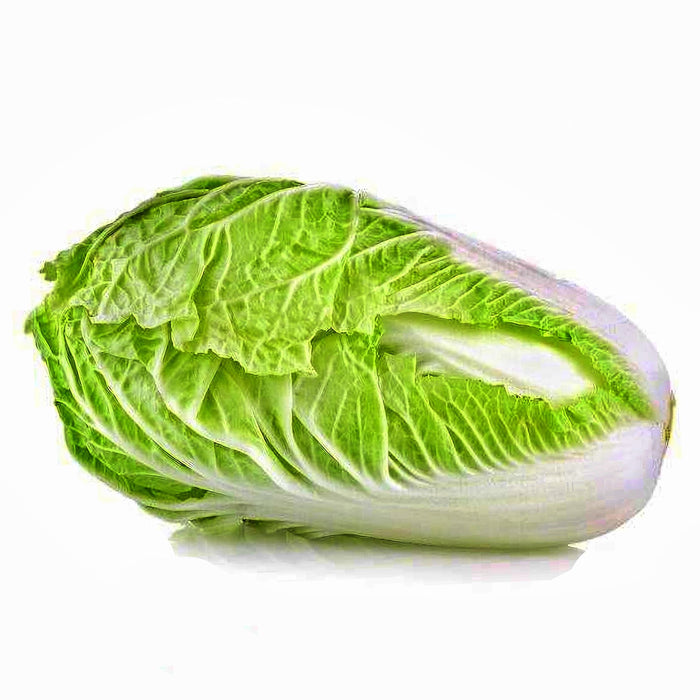 Aichi, Chinese Cabbage, - BoxGardenSeedsLLC -Cabbage, Kale - Seeds