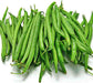 - BoxGardenSeedsLLC - Tenderette, Bush Bean - Beans / Dry Beans - Seeds