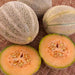 Arancino, Cantaloupe - BoxGardenSeedsLLC -Melons, Cantaloupe - Seeds