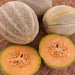 Arancino, Cantaloupe, - BoxGardenSeedsLLC -Melons, Cantaloupe - Seeds