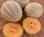 - BoxGardenSeedsLLC - Arancino, Cantaloupe - Melons, Cantaloupe - Seeds