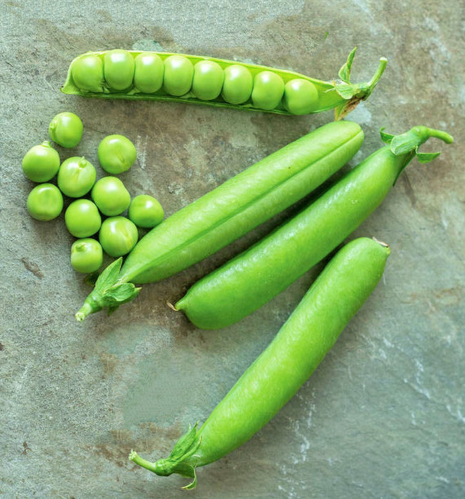 Maxigolt, Peas, -- BoxGardenSeedsLLC -Peas - Seeds