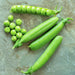 Maxigolt, Peas, - BoxGardenSeedsLLC -Peas - Seeds