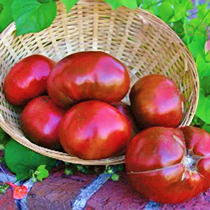 Paul Robeson, Tomato, -- BoxGardenSeedsLLC -Tomatoes,Tomatillos - Seeds