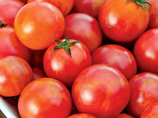 Isis Candy Cherry, Tomato, -- BoxGardenSeedsLLC -Tomatoes,Tomatillos - Seeds