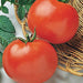 Rutgers, Tomato, - BoxGardenSeedsLLC -Tomatoes,Tomatillos - Seeds