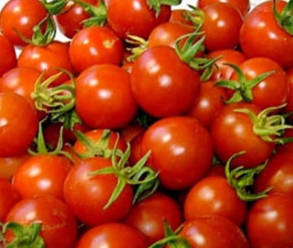 Red Cherry, Tomato - BoxGardenSeedsLLC - Tomatoes,Tomatillos - Seeds - 