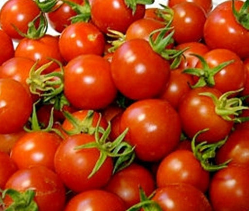 - BoxGardenSeedsLLC - Red Cherry, Tomato, - Tomatoes,Tomatillos - Seeds