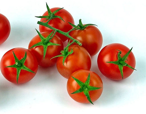 - BoxGardenSeedsLLC - Red Cherry, Tomato, - Tomatoes,Tomatillos - Seeds