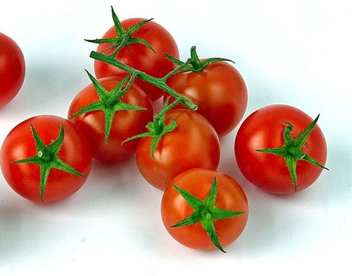 Red Cherry, Tomato, -- BoxGardenSeedsLLC -Tomatoes,Tomatillos - Seeds