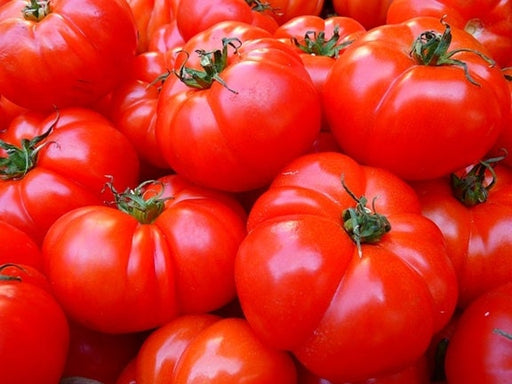 - BoxGardenSeedsLLC - Hamson DX 52, Tomato, - Tomatoes,Tomatillos - Seeds