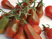 Chocolate Pear, Tomato - BoxGardenSeedsLLC - Tomatoes,Tomatillos - Seeds - 