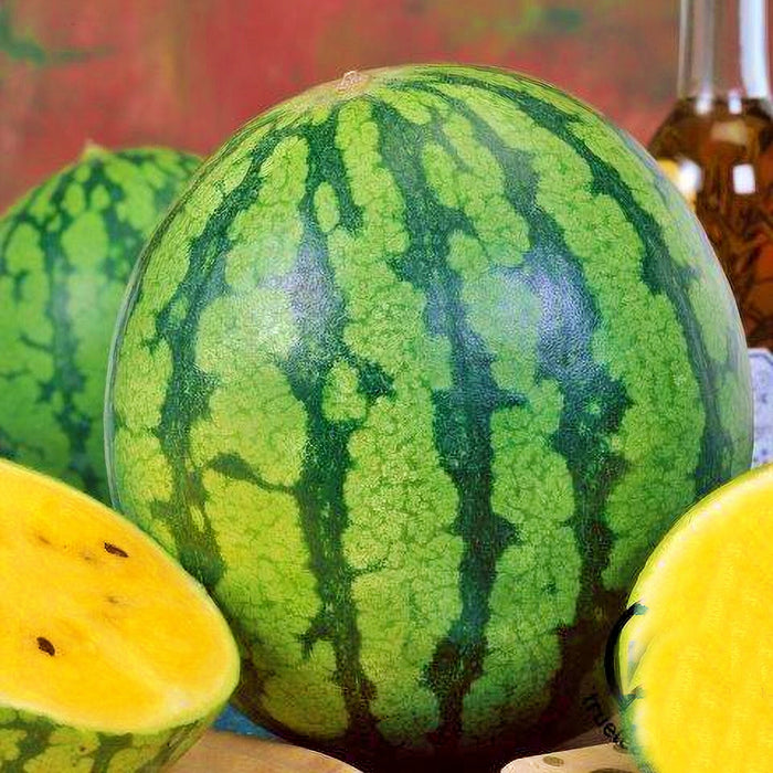 Yellow Gem Sweet, Watermelon, -- BoxGardenSeedsLLC -Melons, Cantaloupe - Seeds