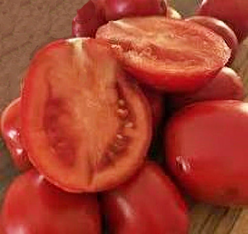 - BoxGardenSeedsLLC - Northern Ruby Paste, Tomato, - Tomatoes,Tomatillos - Seeds