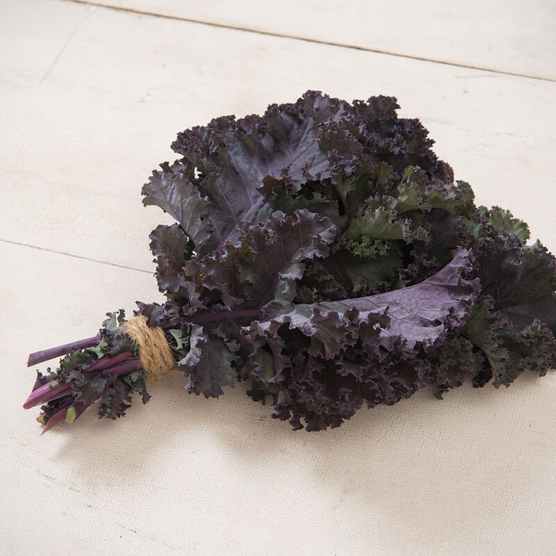 Frisé Rouge, Kale - BoxGardenSeedsLLC - Cabbage, Kale - Seeds - USA Seller, Thank you for shopping here today, Naturally Grown GMO Free Seeds, Heirloom Open Pollinated Seeds, Fresh Top Quality Premium Seeds