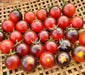 Dancing With Smurfs, Tomato, -- BoxGardenSeedsLLC -Tomatoes,Tomatillos - Seeds