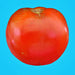 Piroka, Tomato, - BoxGardenSeedsLLC -Tomatoes,Tomatillos - Seeds