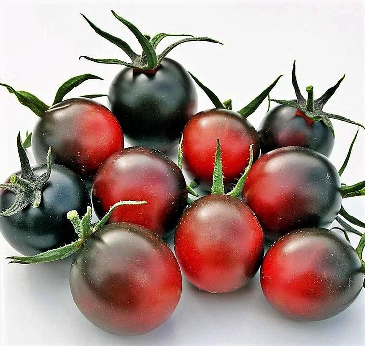 Dancing With Smurfs, Tomato, -- BoxGardenSeedsLLC -Tomatoes,Tomatillos - Seeds