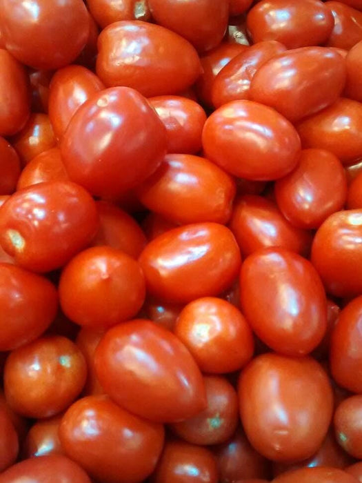 Napoli Roma, Tomato, -- BoxGardenSeedsLLC -Tomatoes,Tomatillos - Seeds