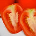 Roma VF Paste, Tomato, - BoxGardenSeedsLLC -Abundant Stock SALE - Seeds