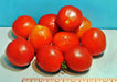 Moneymaker, Tomato, -- BoxGardenSeedsLLC -Abundant Stock SALE - Seeds