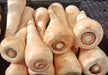 Hollow Crown, Parsnip, -- BoxGardenSeedsLLC -Beet,Turnips,Parsnips - Seeds